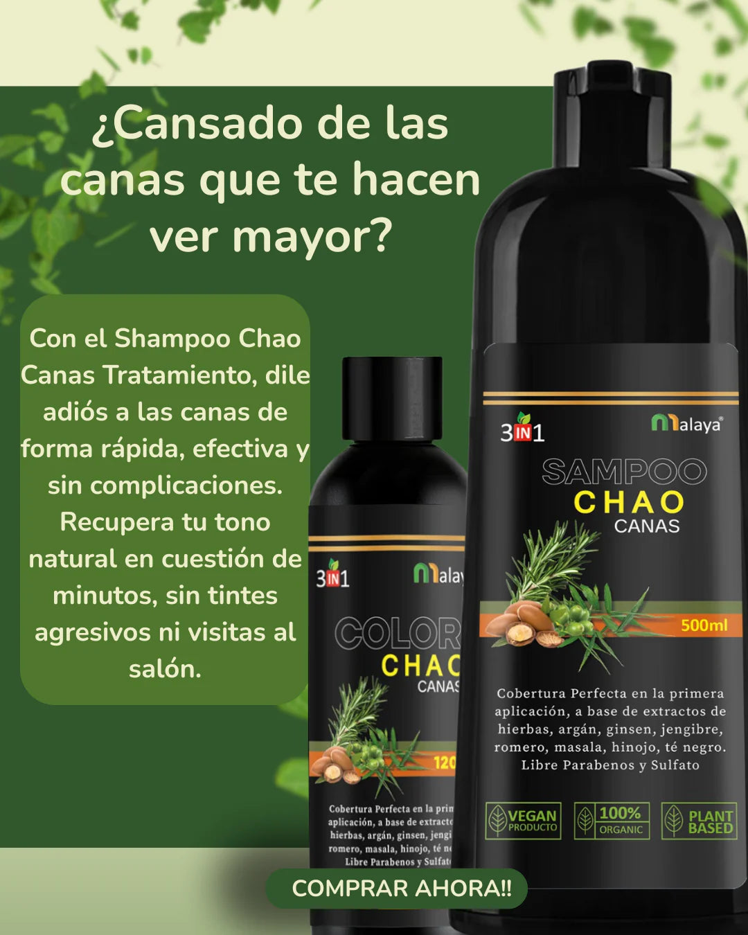 SHAMPOO CHAO CANAS